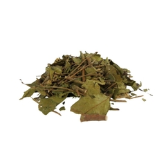 PITANGA - comprar online
