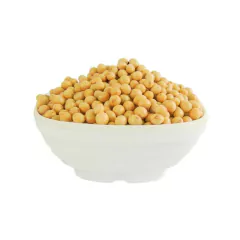 SOJA