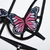 SET MARIPOSAS en internet