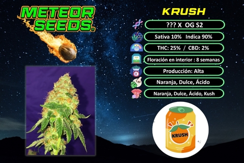 SEMILLAS METEORSEEDS X3 UNIDADES FOTOPERIODICAS KRUSH