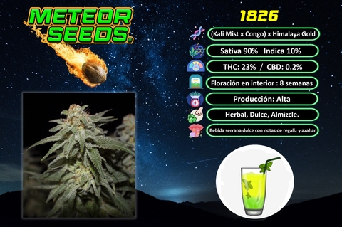 SEMILLAS METEORSEEDS X3 UNIDADES FOTOPERIODICAS 1826