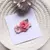 Imagem do Hair Clip Flores