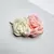 Imagem do Hair Clip Gaia