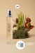 Perfume Inspiração Light Blue 50ml, n 34