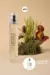 Imagem do Kit com 4 Perfumes Masculinos Gourmands Inspirações 50ml
