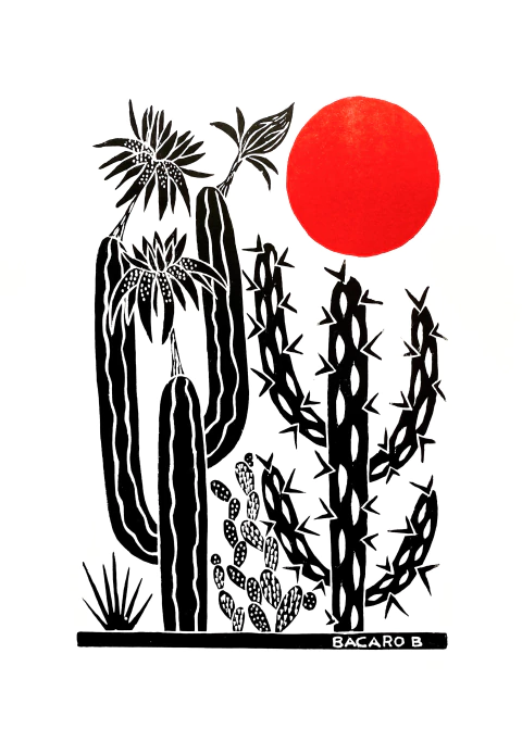 CACTOS 33x48cm - comprar online