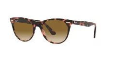 Anteojo De Sol Ray-Ban RB 2185 133451 2n Wayfarer ll 52 mm - comprar online