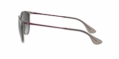 Anteojo De Sol Ray-Ban RB 4171 65138g 3n Erika 54 mm - La Optica web
