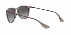Anteojo De Sol Ray-Ban RB 4171 65138g 3n Erika 54 mm - tienda online