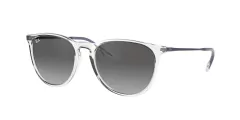 Anteojo De Sol Ray-Ban RB 4171 651611 2n Erika 54 mm - comprar online