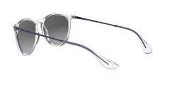 Anteojo De Sol Ray-Ban RB 4171 651611 2n Erika 54 mm - La Optica web