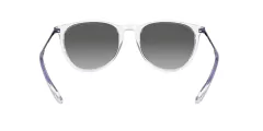 Imagen de Anteojo De Sol Ray-Ban RB 4171 651611 2n Erika 54 mm