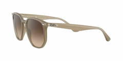 Anteojo De Sol Ray-Ban RB 4306 616613 3n 54 mm en internet