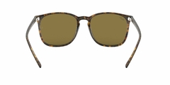 Anteojo De Sol Ray-Ban RB 4387 710/73 3n 56 mm