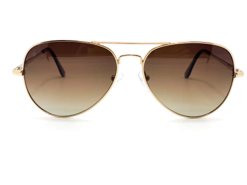 Anteojo De Sol Wellington Polo Club s 2020 brown 55 mm