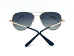 Anteojo De Sol Wellington Polo Club s2020 L Black-Gold 55 mm - tienda online