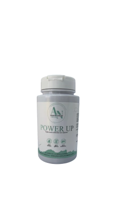 TERMOGÊNICO na internet