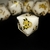 Serie Tesoros - Juramento Sagrado N° 3/5 - Critical Dice Dados
