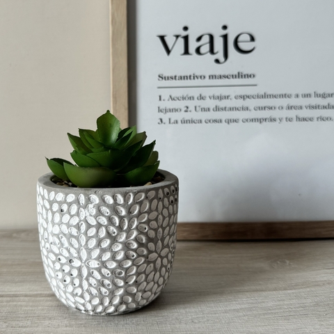Plantin Echeveria en maceta de cemento 9x9