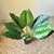 Planta Alocasia Artificial 65cm en internet