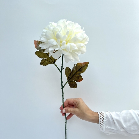 Vara Dahlia Blanca