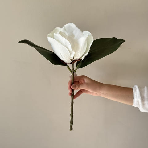 Vara Magnolia Grande