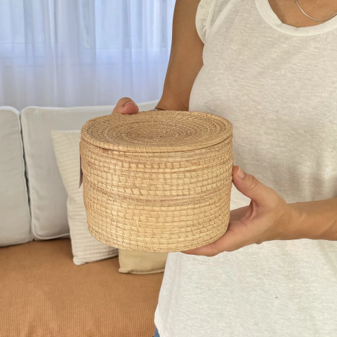 Organizador con Tapa Chico