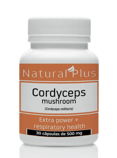 Hongo Cordyceps militaris - 30 cápsulas de 500 mg