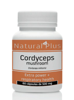Hongo Cordyceps militaris - 60 cápsulas de 500 mg