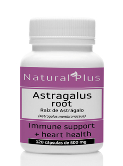 Astrágalo (Raíz De Astrágalus Membranaceus) - 120 cápsulas de 500mg