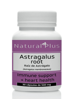 Astrágalo (Raíz De Astrágalus Membranaceus) - 30 cápsulas de 500mg