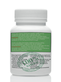 Hongo Melena de León - 60 cápsulas de 500mg - comprar online