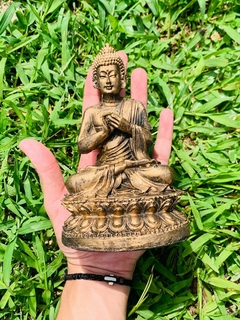 Buda Hindu- Resina maciça - comprar online