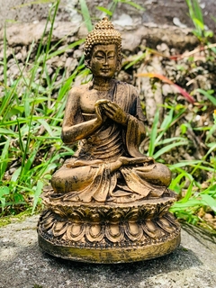 Buda Hindu- Resina maciça