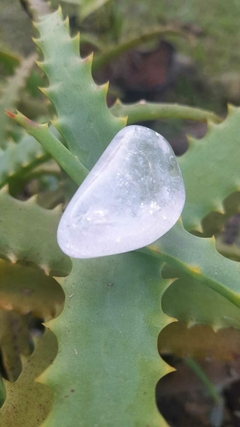 Cristal- Quartzo Polido M