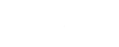 Teu Aroma