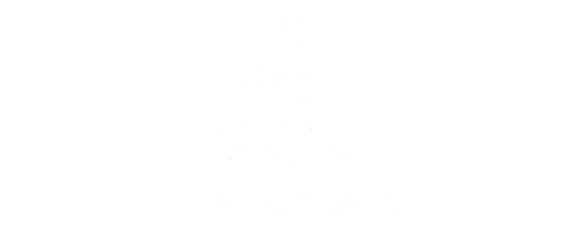 Teu Aroma