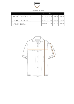 Camisa Oversize Diego Celeste en internet