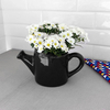 Vaso Cachêpot Regador Cerâmica Preto