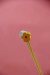 Vareta kids Florzinha - comprar online
