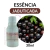 Essência Jabuticaba 30ml