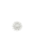 BROCHE DAYSE na internet