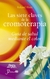 LAS SIETE CLAVES DE LA CROMOTERAPIA