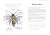 Imagen de OMFG, BEES!: Bees Are So Amaz