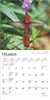 Calendario mini Colibríes 2025 en internet