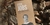 STEVE JOBS en internet