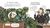 Plantas domesticadas y otros mutantes en internet