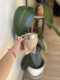 Imperial premium cuero crudo virola lisa - Yerba Canarias Roca