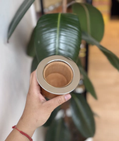 Camionero algarrobo BOCA en internet