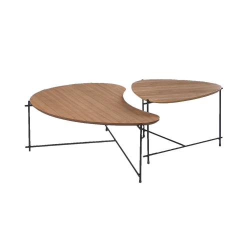 Conjunto 02 Mesas De Centro Orgânica Decorativa Cinamomo